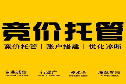 某电商平台的SEM关键词策略及成效分析
